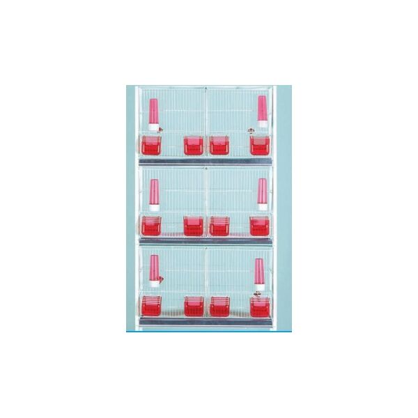 ΖΕΥΓΑΡΩΣΤΡΑ ΓΙΓΑΣ ΛΕΥΚΟ, 607