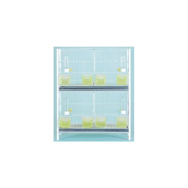 ΖΕΥΓΑΡΩΣΤΡΑ ΓΙΓΑΣ ΛΕΥΚΟ, 608