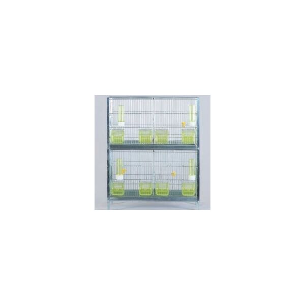 ΖΕΥΓΑΡΩΣΤΡΑ ΓΙΓΑΣ ΛΕΥΚΟ, 610