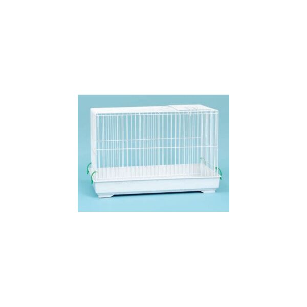 ΚΟΥΝΕΛΟΚΛΟΥΒΟ ΛΕΥΚΟ, 504