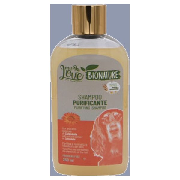 SHAMPOO PURIFICANTE ΚΑΛΕΝΤΟΥΛΑ
