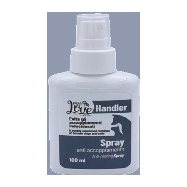 SPRAY ΑΝΤΙΖΕΥΓΑΡΩΜΑΤΟΣ