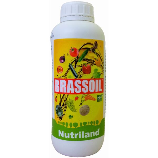 BRASSOIL Bio