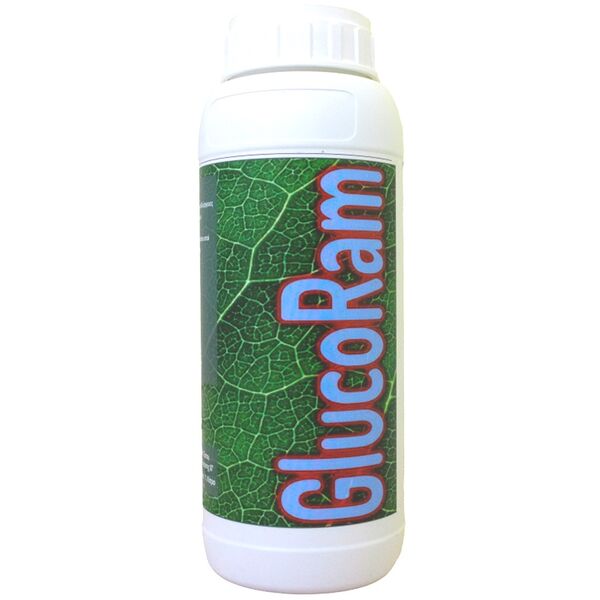 GLUCORAM Bio