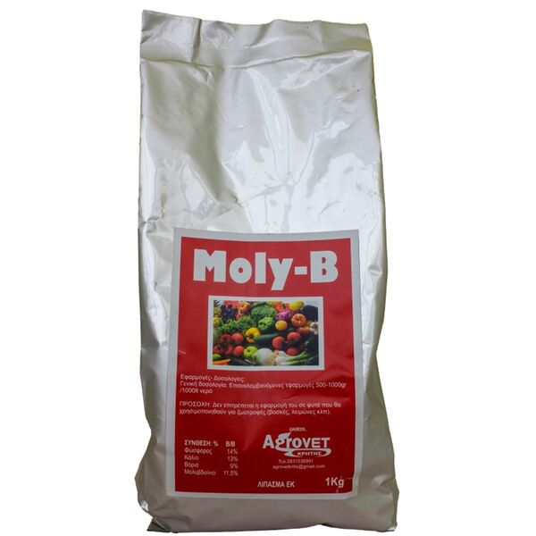 MOLY B