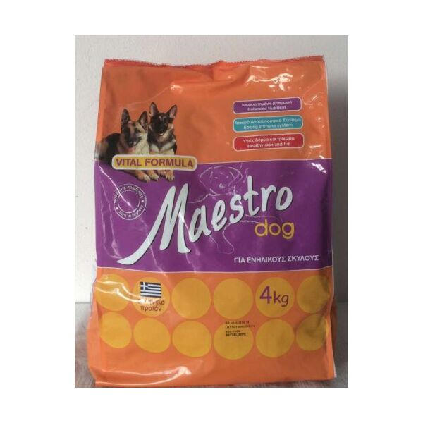 MAESTRO ΣΥΝΤΗΡΗΣΗΣ