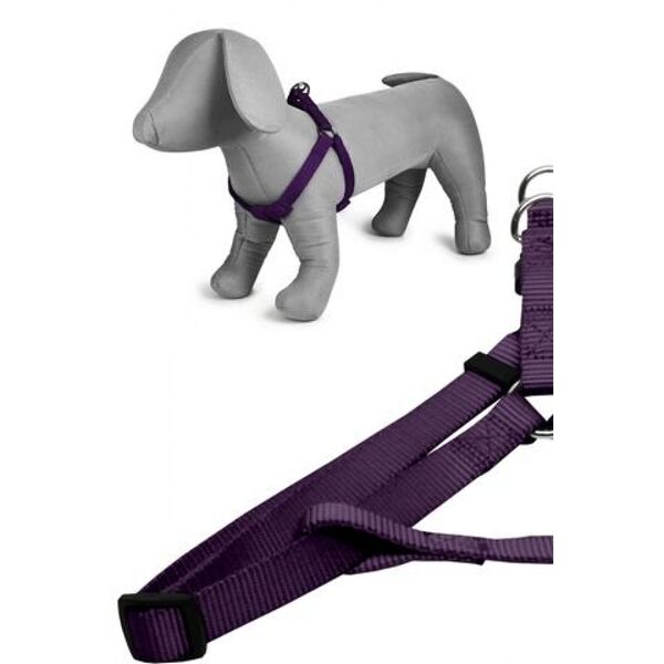 ΙΜΑΝΤΕΣ ΑΣΦΑΛΕΙΑΣ ΠΛΑΣΤΙΚΟΙ