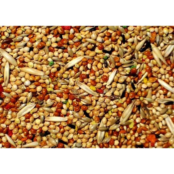 ΜΕΙΓΜΑ ΜΙΚΡΩΝ ΠΑΠΑΓΑΛΩΝ