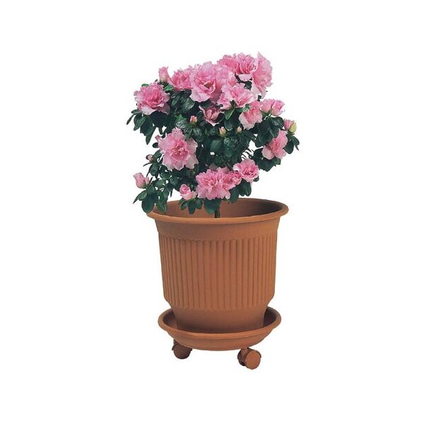 ΠΛΑΣΤΙΚΗ ΓΛΑΣΤΡΑ ΡΙΓΕ